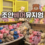 제주 조안베어뮤지엄 / 제주도 테디베어 박물관 실내 관광지 곰돌이 데이트 가족여행 : 브이패스