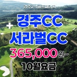 [10월요금] 경주2색골프 서라벌cc 경주cc  1박2일골프여행 패키지 : 골프야