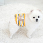 [패리스독] 땡큐베어 매너벨트 강아지 벨트 : 더좋은펫