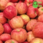 못난이 문경사과 5kg 엔부 부사사과 피치애플 보조개 청송사과 10kg 10키로 : 월간 제철 과일