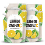 [3+1] 데이앤 내몸의 깔라만시, 1L, 4개 : 참앤들황토농원