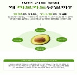 광천맛김 12봉 도시락김 명절선물세트 48g, 2개 : BlueMooN