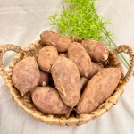 여주고구마 꿀고구마 베니하루카 호박 밤 : 두부네 농장