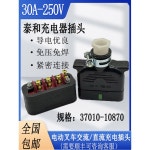 전동 지게차 지게차충전기 30A250V 연결잭 중장비 밧데리 농업용 태화 어미 한 마리 : 오로라딜