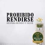 뜨거운 스페인어 문장 벽 스티커 사무실 방에 대 한 회사 비닐 데 칼 Frase vinilo pared : 이십이룡산업