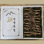 피로회복 혈액순환 당뇨 혈압 관리 국내산 건강한 산양삼 5년근 6년근 대 중사이즈 20주 : 삼순이의 산양산삼이야기