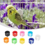 병아리 닭 오리 버클 가축인식표 농장 축산용 넘버링 번호표 : cozimall