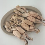 왈왈펫푸드 동결건조 개구리 50g : 왈왈펫푸드