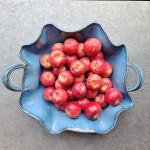 영동 미니사과 천홍 꼬마 한입사과 업소용 데코용 작은 미니과일 장식용 1kg 2kg : 상촌정야네농장