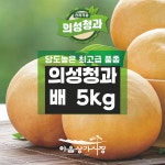 의성청과 배 5kg : 야음행복협동조합
