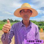 완판. 2025년 해남고구마생산자협회 으뜸황토농장 강동길농가 밤고구마 : 해남고구마생산자협회