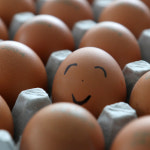 쫄깃 탱탱한 구운란 30구+30구 (총 2판) 구운계란 대란 : 지성식품 본점