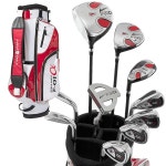 WORLD EAGLE(월드 이글) F-01α 맨즈 골프 클럽 풀세트 화이트레드 백 ver. 좌측용 플렉스SWE-J-F-01-MLH- : Tomiyamasutoa