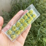 꽃모델 클러스터 미니어처 정원 장식 정적 풍경 모델, 전쟁 게임 잔디 터프트, DIY 건물 레이아웃, 28 개 : 월드셀러마트