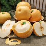 전남 나주 원황 햇 배 3kg 중소과 중대과 제수용 가정용 : 주식회사 더블엠