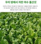 [착한가게] 여수 돌산 갓김치 갓물김치 갓피클 국산재료 100% 1kg 2kg : 착한가게좋은상품