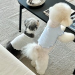 오드펫 odd 아일렛 가디건 (3컬러) : 오드펫