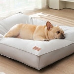 강아지 방석 쿠션 애견 반려견 꿀잠 커버분리 : 유한회사 한발무역