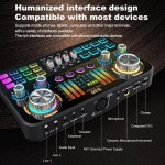 DS 2T 믹서 입력 YOUTUBE 전원 출력 라이브 인터페이스 지원 오디오 TIKTOK S30 Sound Card : 코그리즘