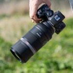 Canon 망원 렌즈 RF600mm F11 IS STM 풀 사이즈 대응 RF60011ISSTM : FIND JAPAN
