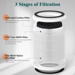 고비라이프 H7129 스마트 공기청정기용 교체 필터 액세서리 2팩, 나일론 프리필터 3단계 여과, 메인 및 활성탄 : 김미웨이