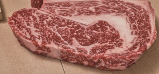 안양축협 한우 등심(1+등급) 1kg : 안양축산농협 참들향