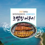 [당일출고] [달인장어] 장어맛 최강달인의 고창풍천장어초벌구이 1kg, 1개 : 달인장어