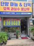 바로까서 신선한 /국내산 깐더덕 700g/ 구이용 무침용 혼합 : 단양더덕농산