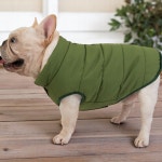 보온성강화반려견패딩 따뜻한애견겨울옷 대형견겨울철필수템 패딩조끼 L 그린 : 필요하면연락해요