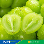 산지직송 경산 용성농협 특품 샤인머스켓 2kg,4kg[GAP시설 당도16Brix이상] : 용성농협