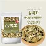 건조 삼백초 400g / 국산 약재 전통 잎 차 약초 무첨가 : 기백당