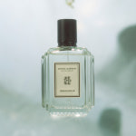 호텔도슨 오드퍼퓸 향수 미드소마 75ml 아로마틱 포레스트향 (+탁상거울 증정) (+미니향수 2종 증정) : 호텔도슨