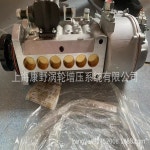 YC 연료 분사 펌프 J4200- 1111100 1109 및 1404 G0200-D BH4P120R1402 : 뮤렉스 유통