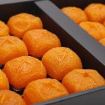 [신기새마을영농조합법인] 청도반건시 24구 선물세트 : 민생상회