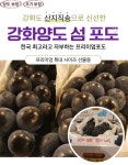 2025년 강화도 특산물 강화섬 양도 켐벨포도 특상품 3kg : 고당도 과일
