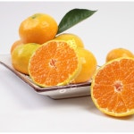 당도선별 가정용 제주 하우스 감귤 시즌  4.5kg 중대과 : 양구니네