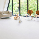 펫노리터 펫 강아지 롤 매트 논슬립 슬개골보호 셀프시공 묘하개끌리지 (0.55cm) : 펫노리터