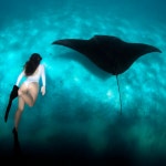 로컬페이지 [발리 누사페니다 올인원 투어] 스노클링 만타가오리 크리스탈베이 : 로컬페이지