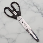 갈치 집게 다기능 물고기 가위 그립 전갱어 잡어 생선 롱 그립 : alonely man