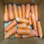 주스용당근 당근농장 생당근 제주 구좌 세척 : 가락시장 목포상회 과일