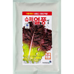 슈퍼열풍 코팅상추씨앗 10,000립 25년포장 대포장상추씨앗 : 제일농약사