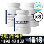 salmsi 베타인 NMN 정 600mg x 180정 : 라이프메딕스