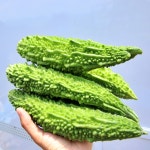 무농약 여주 건여주 국내산 말린 500g+500g 대풍이네 볶은 : 대풍이네