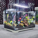 삼삼오오금어항 소형 수조 초백유리 디어 금붕어항 장방형 송사리 참수초 물고기키우기 : 고요결이조