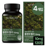 뉴트리플랜트 식물성 멜라토닌 10mg 120정 플랜트멜라 고함량 식약처 인증 4박스 : 뉴트리플랜트