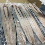 유네스코가 인정한 청정 우이산의 맑은 물이 키운 명품 민물 장어 손질장어 구이 1kg : 오늘도맛집