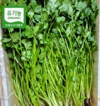 바오팜 샐러드 쌈용 유기농 고수 향채 농장직송 500g : 바오농장
