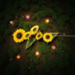 대형해바라기조화 120cm 개업선물 집들이선물 : 태봉리꽃가게