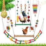 12PCS 협동조합용 치킨 - 완전한 세트, 협동조합 액세서리 스윙 사다리 다리 거울 쪼기 엔터테인먼트 9PCS : 쿤스박스