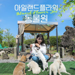 제주 아일랜드플라워 동물원 / 제주도 동물농장 어린이 관광지 체험 카페 먹이주기 : 브이패스